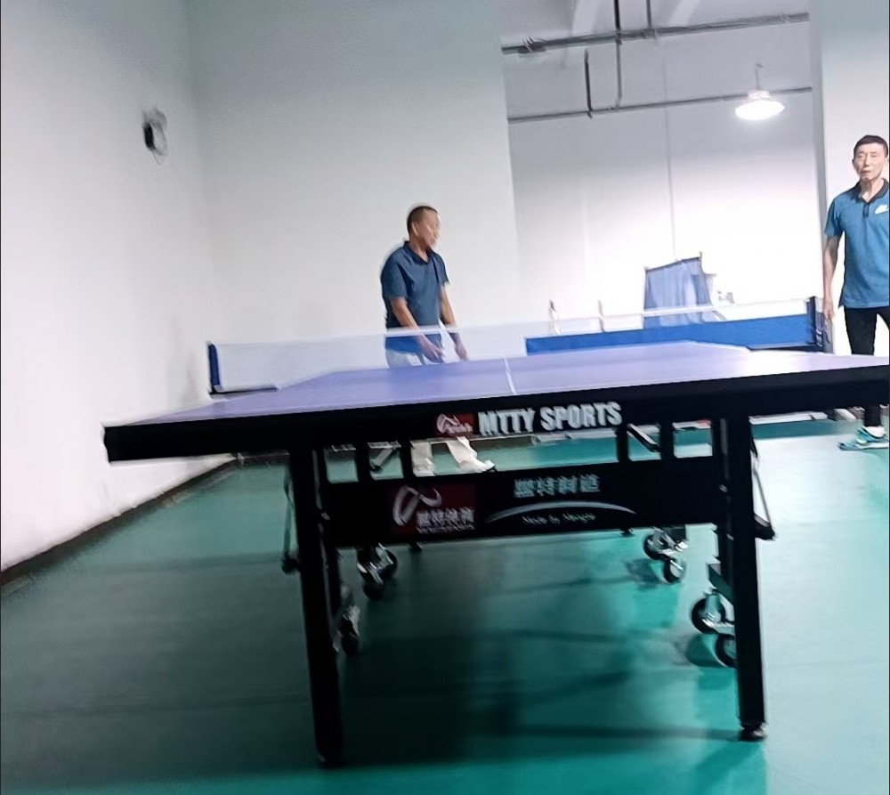 熊猫体育乒乓球台源头生产工厂